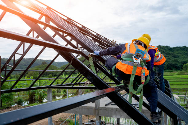 Best Roof Repair Services  in Evart, MI