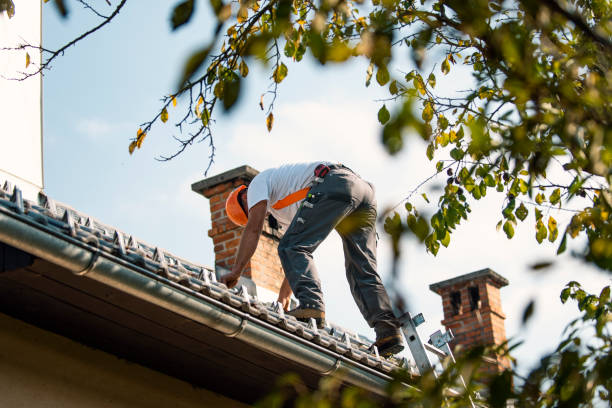 Best Flat Roof Repair Services  in Evart, MI