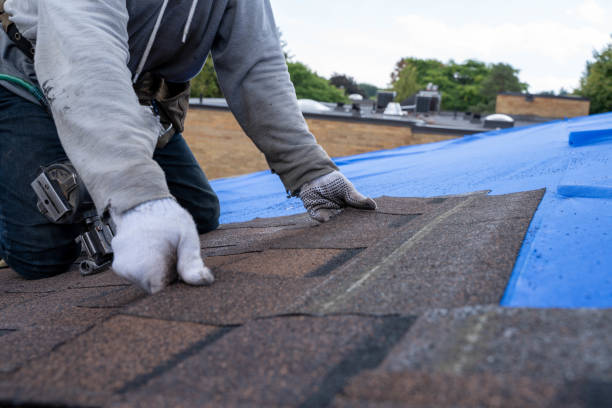 Best Affordable Roofing Company  in Evart, MI