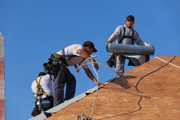 Best Roof Restoration Services  in Evart, MI