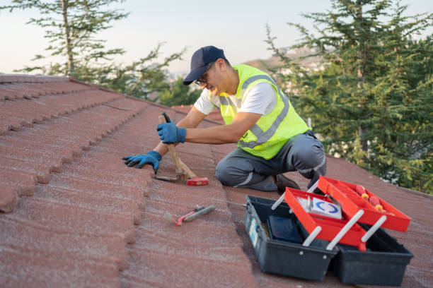 Best Roof Inspection Near Me  in Evart, MI