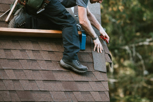 Best Metal Roofing Contractor  in Evart, MI